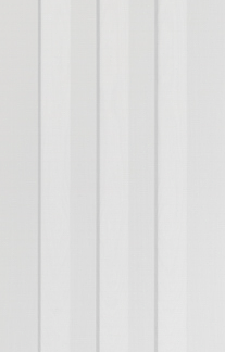 WHITE IDAHO FIRE DOOR